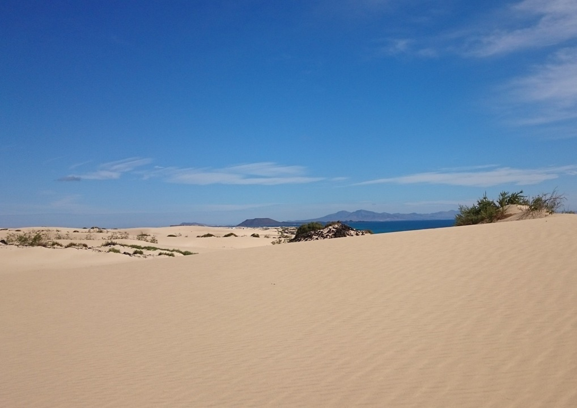 Parc naturel des Dunes de Corralejo