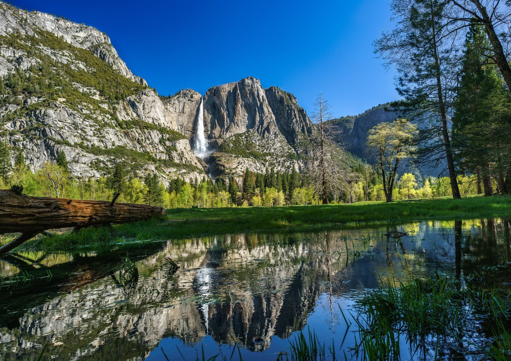 Parc national de Yosemite