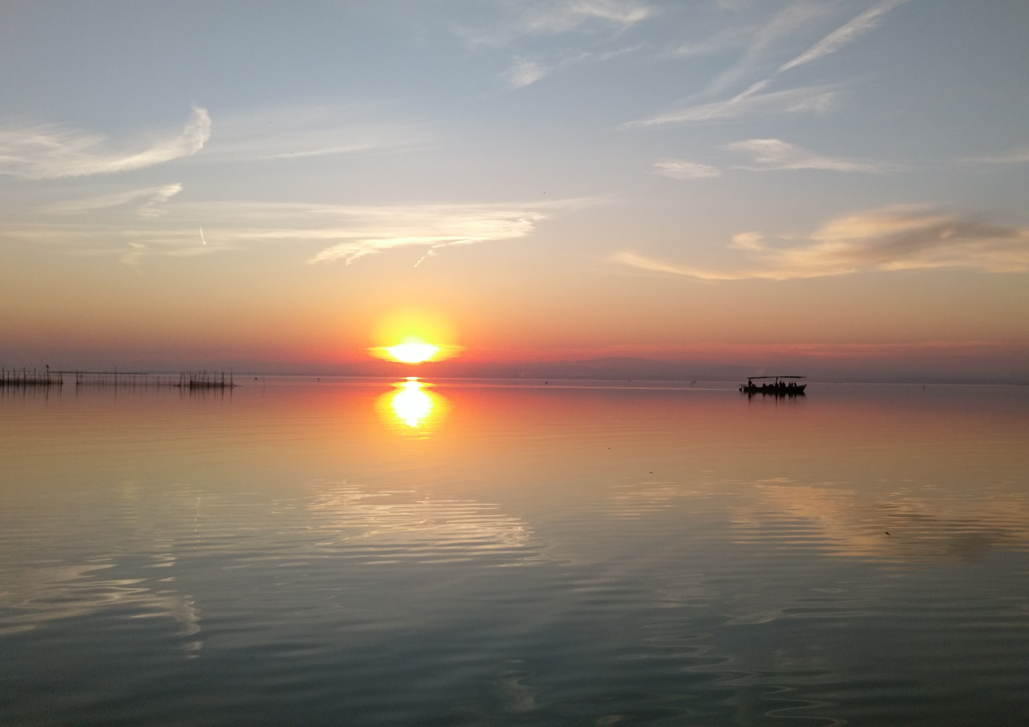 Parc naturel de l'Albufera